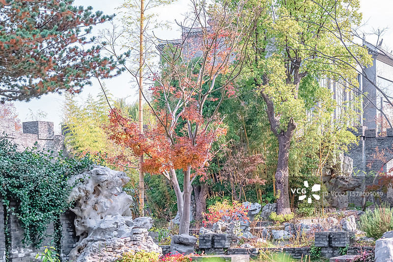 晴朗的午后，扬州朴园的园林建筑风景图片素材
