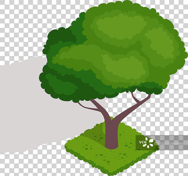 等距绿色树木图标，带有高大的枫树森林图片素材