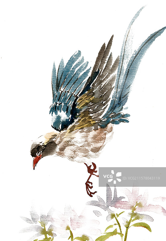 飞翔的小鸟图片素材