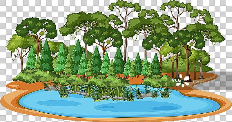 郁郁葱葱的森林环绕着宁静的蓝色湖泊图片素材