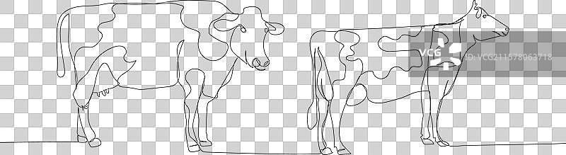 牛群，公牛，牲畜，一笔画连续图图片素材