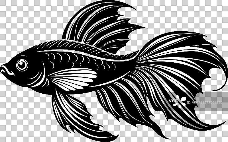 斗鱼的面孔，白色背景图片素材