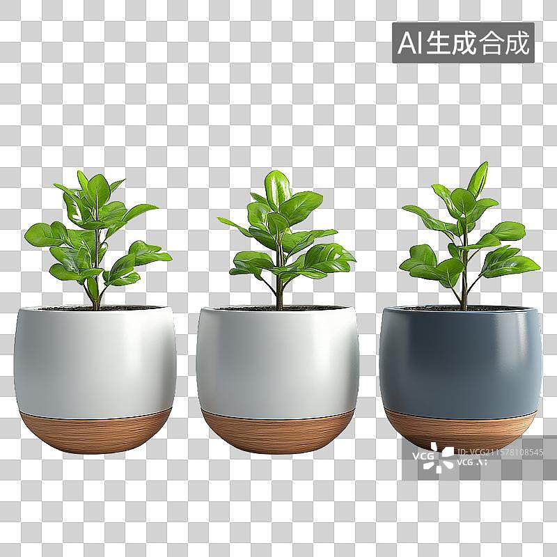 【AI数字艺术】三盆绿植置于简约花盆中图片素材