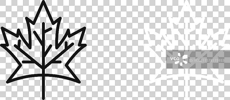 黑白轮廓的枫叶图标集图片素材