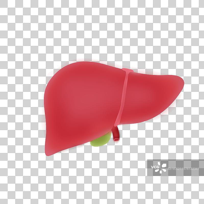 世界肝炎日全国爱肝日医疗健康肝炎医学高峰论坛暗蓝色图片素材