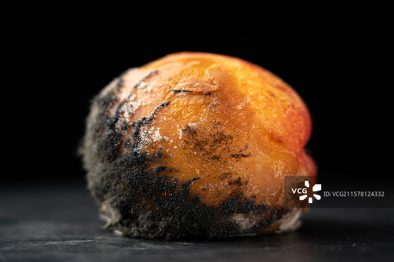 腐烂霉变的水果桃子图片素材