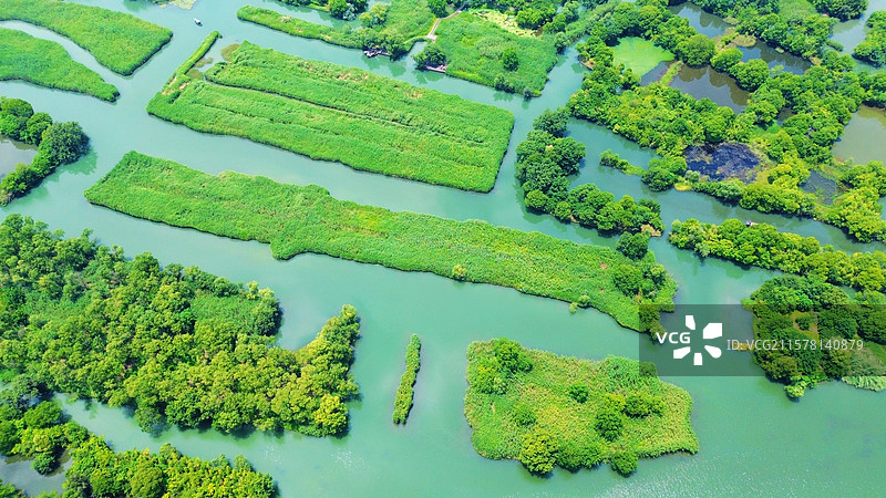 杭州西溪湿地公园水道纵横、生态丰富，是观鸟、游船、赏四季美景的绝佳之地，被誉为“天堂湿地，诗画西溪”图片素材
