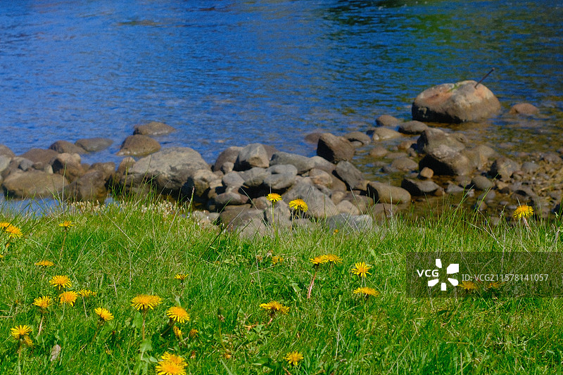 挪威小镇 北欧小镇 努尔黑姆松(Norheimsund)图片素材