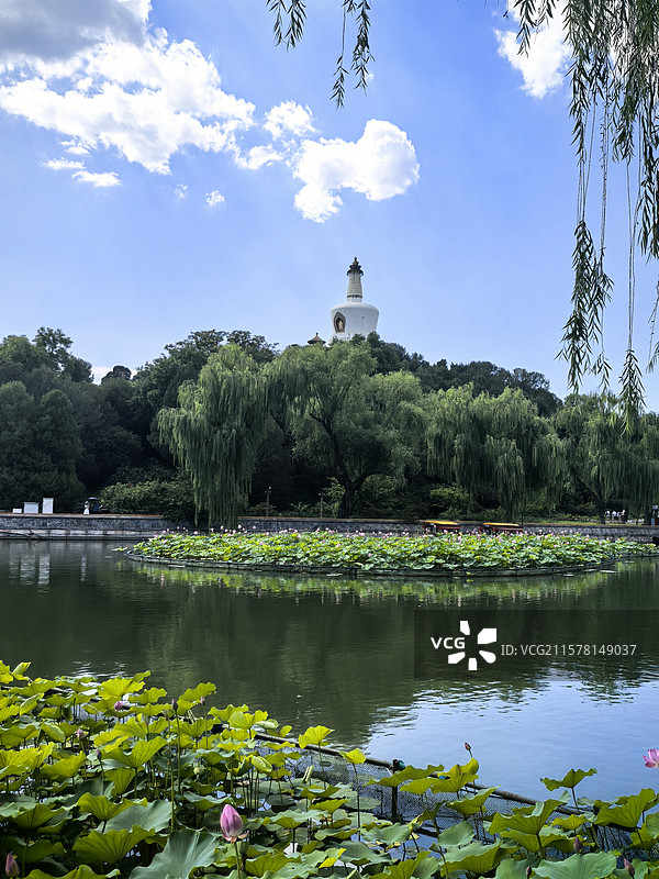 北海公园荷花节图片素材