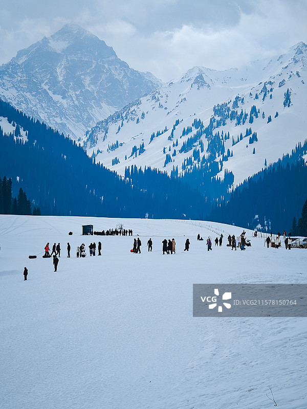 赛里木湖 天鹅湖 冬季 旅游 新疆 伊犁 干净 雪天 冰图片素材