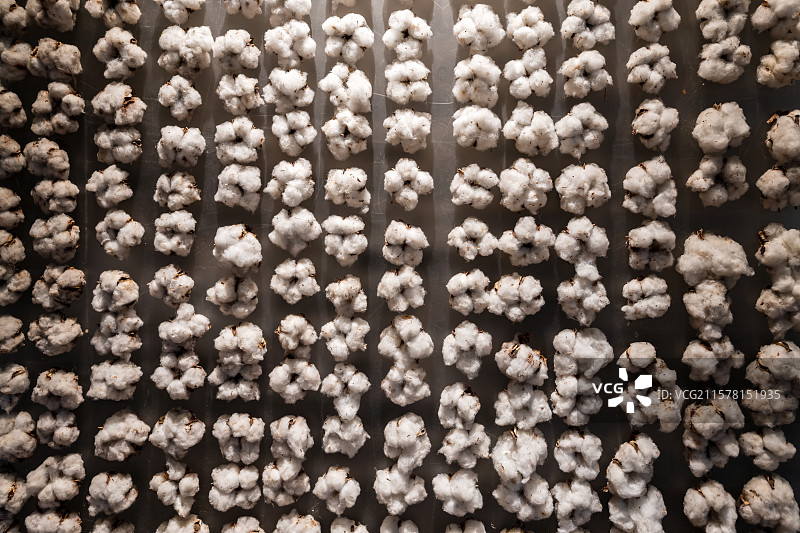 棉花展览柜图片素材