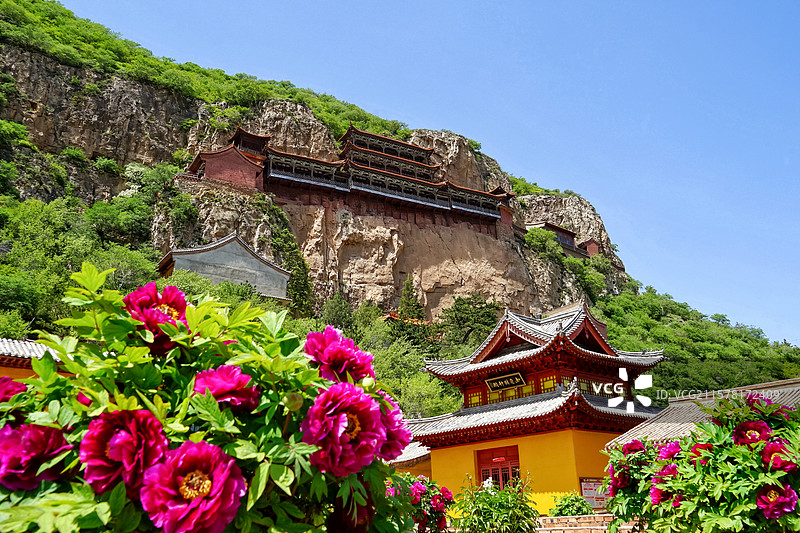 山西大同广灵县小悬空寺圣泉寺牡丹花图片素材