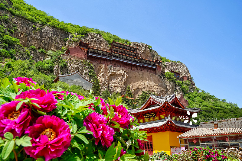 山西大同广灵县小悬空寺圣泉寺牡丹花图片素材