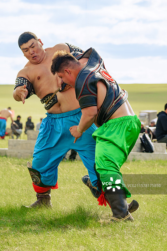 那达慕，摔跤图片素材