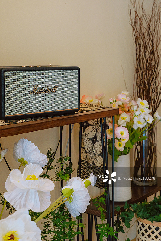 室内摆放的马歇尔音箱和花图片素材