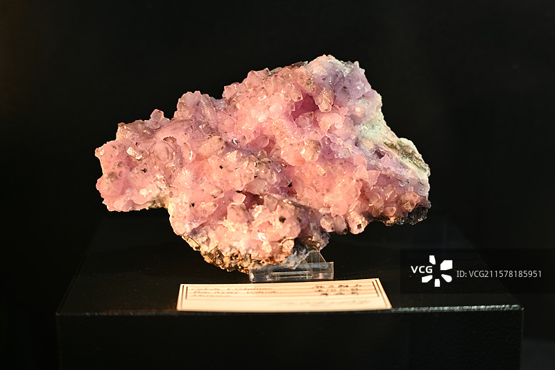 2024年南京国际展览中心矿博会图片素材