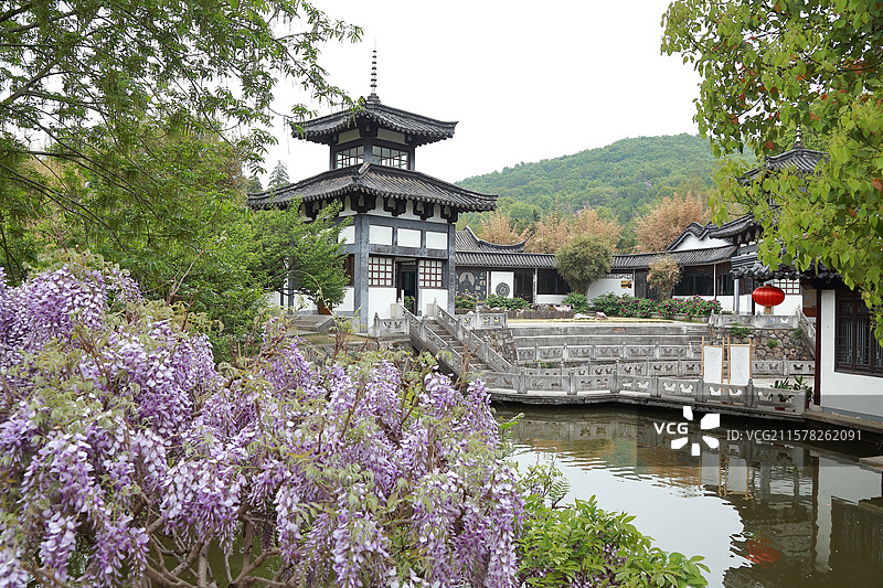 镇江南山文苑紫藤与学林轩图片素材