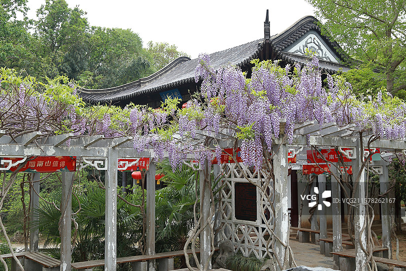 镇江南山文苑紫藤与文心阁图片素材