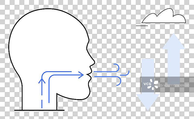 呼吸过程和气流图，带箭头图片素材