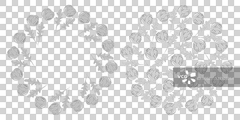 布鲁塞尔芽菜头与芝麻菜叶呈圆形图片素材