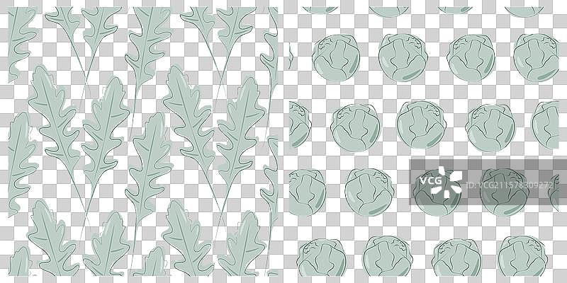 芝麻菜叶和布鲁塞尔芽菜无缝图案图片素材