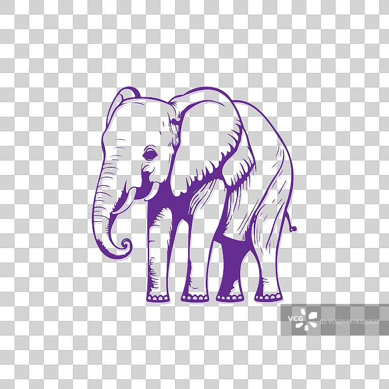 白色背景上的紫色大象图片素材