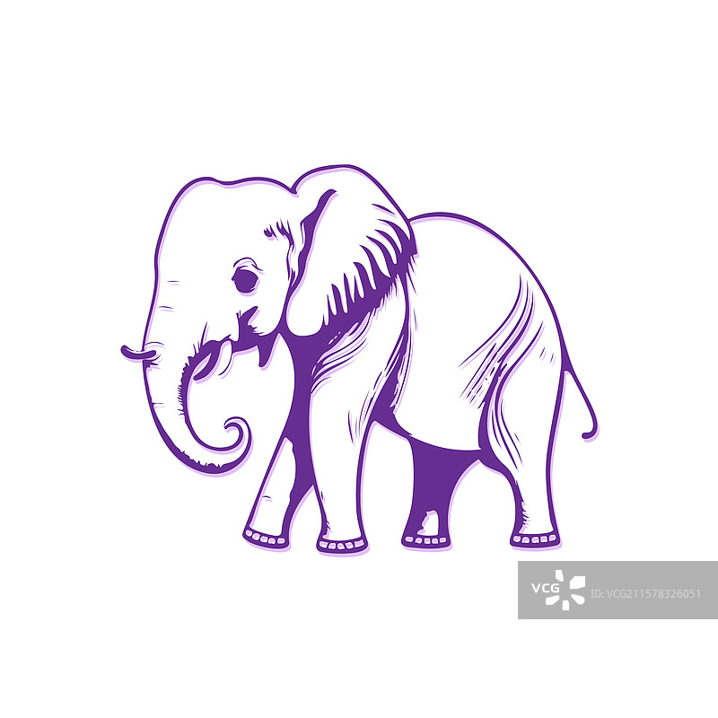 时尚的大象在白色背景上图片素材