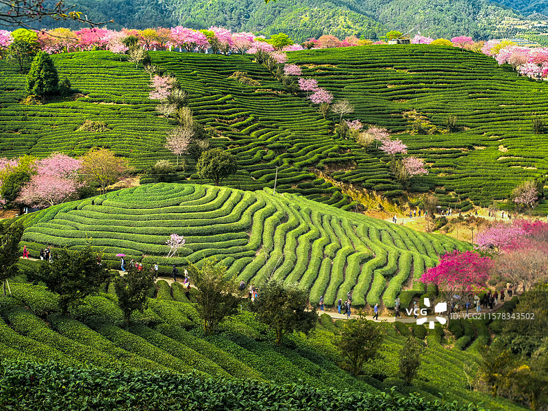 大地春天的诗歌图片素材