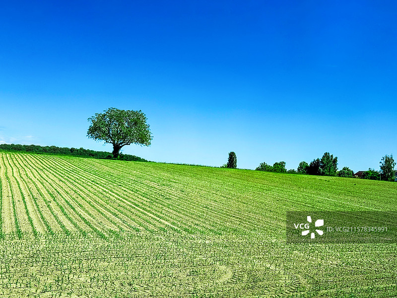 小山坡图片素材
