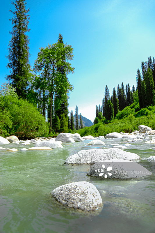 新疆唐布拉草原，翠绿溪水流淌斑驳白石间，两岸植被葱郁，远山层叠，杉林挺拔，清新明亮，展现自然纯净生机图片素材