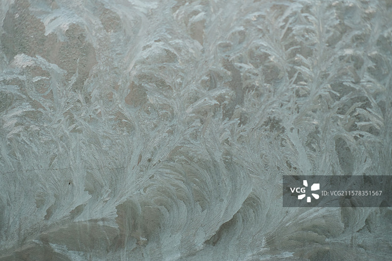 冬天窗户上的冰花。高清风景背景图。寒冷图片素材