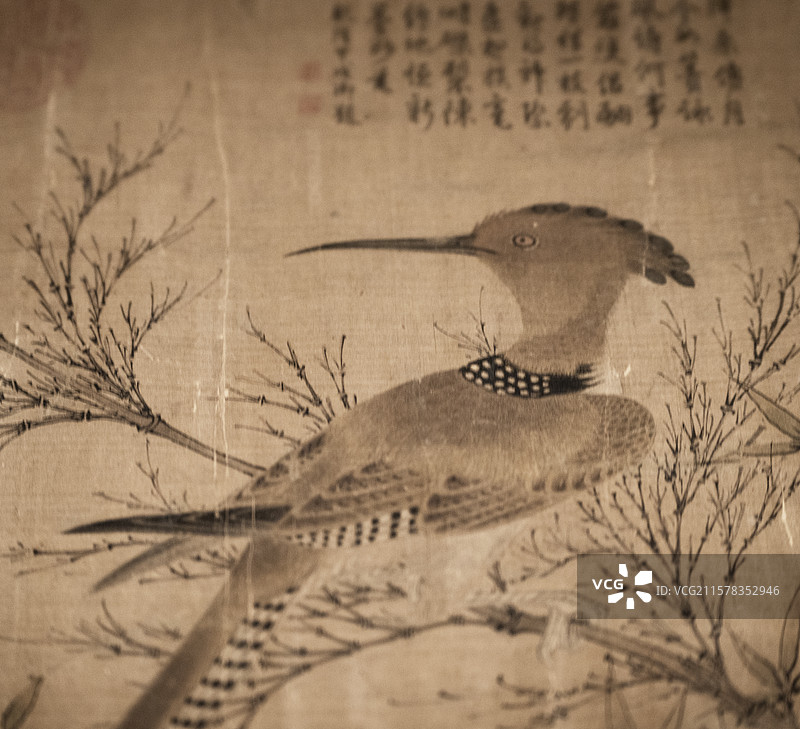 故宫博物院藏动物题材绘画特展图片素材