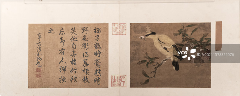 故宫博物院藏动物题材绘画特展图片素材