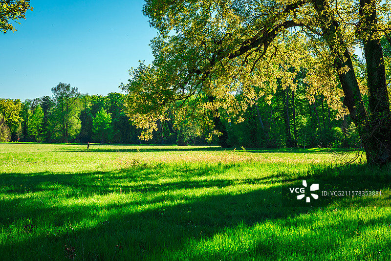 德国波茨坦无忧宫及其后花园图片素材