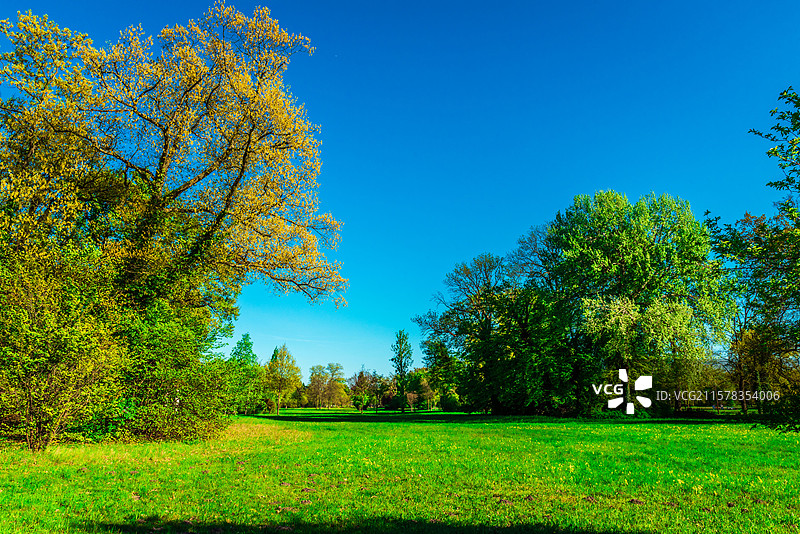 德国波茨坦无忧宫及其后花园图片素材