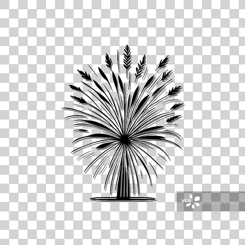 小麦剪影，简单而优雅的设计图片素材