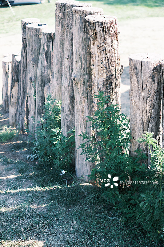 牧场里的木桩特写图片素材