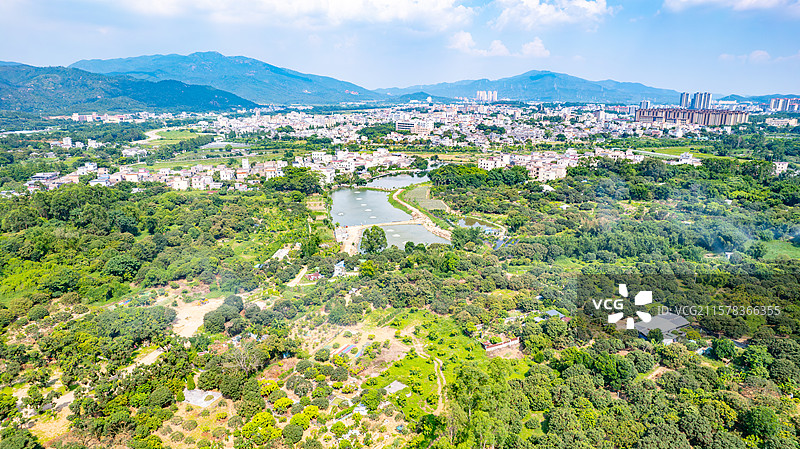 航拍斗门乡村田园风光图片素材