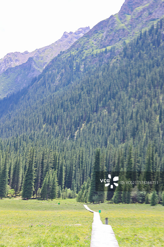 新疆夏塔国家森林公园夏塔古道伊昭公路图片素材