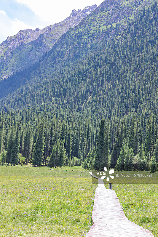 新疆夏塔国家森林公园夏塔古道伊昭公路图片素材
