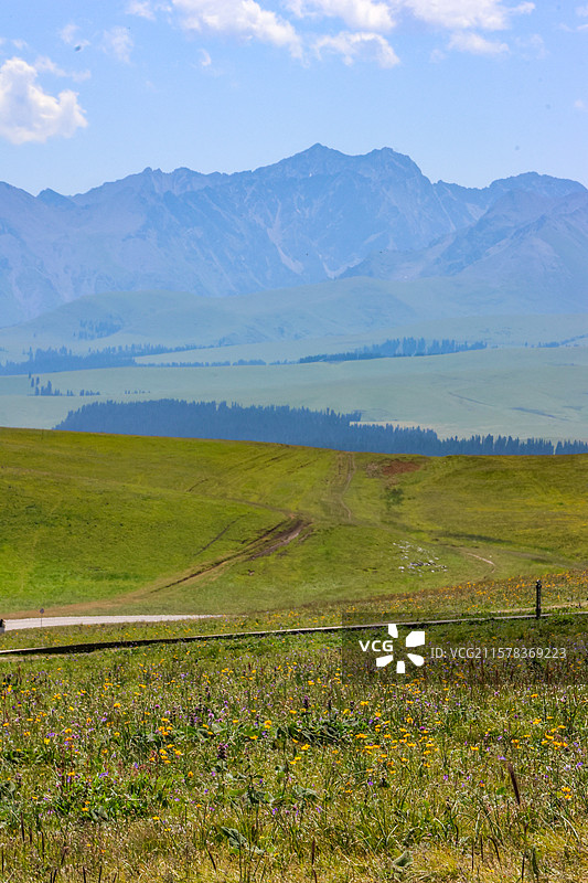 新疆伊犁喀拉峻草原特克斯县3D草原图片素材