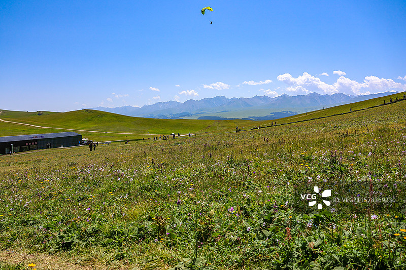 新疆伊犁喀拉峻草原特克斯县3D草原图片素材