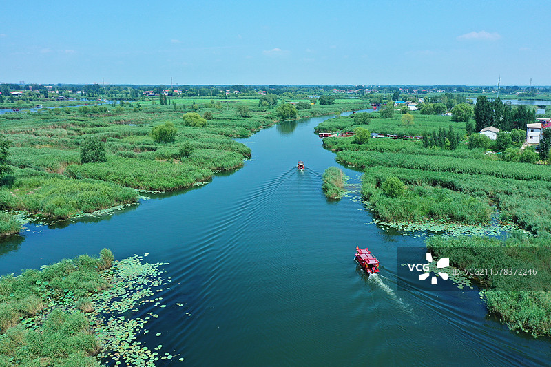 云影天光碧水长，淀波深处纳清凉 风摇翠盖浪千重，日照红蕖万缕香   画舸争游新苇荡，笙歌遥应古渔乡图片素材