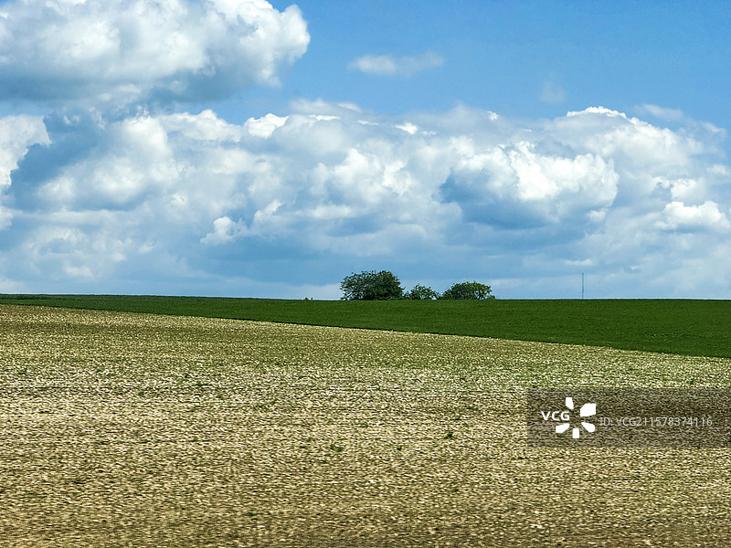 炎炎夏日图片素材