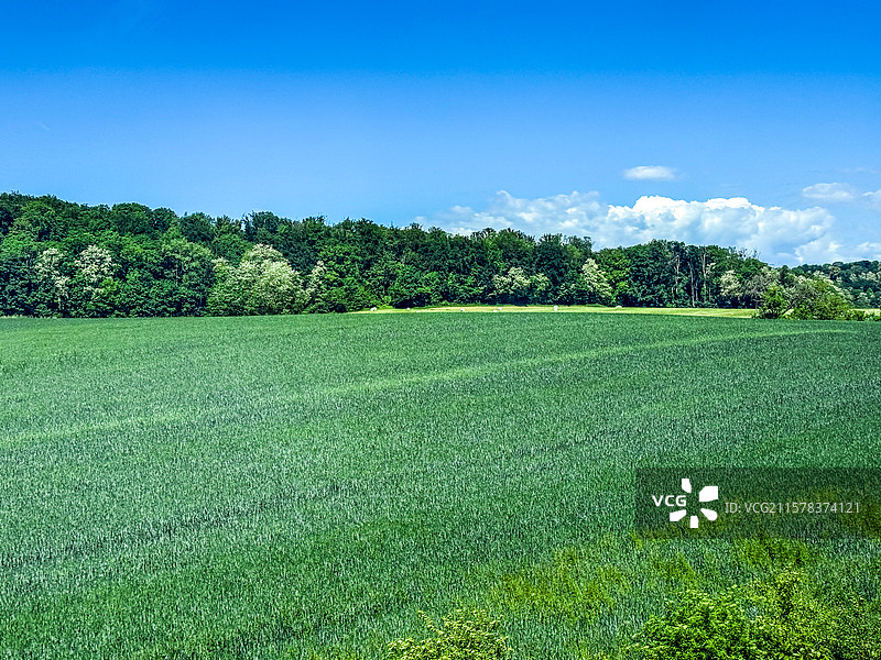 炎炎夏日图片素材