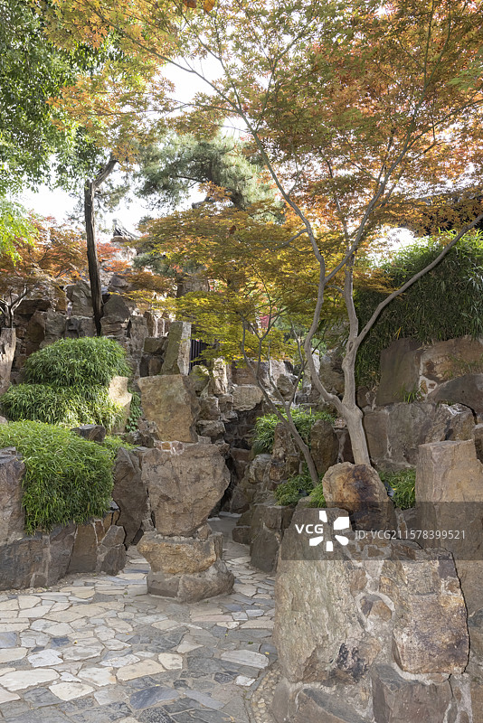 扬州园林个园秋山植物风景图片素材