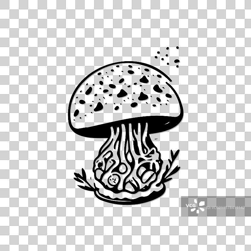 美学线条艺术蘑菇风格图片素材