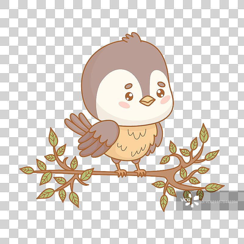 可爱的小鸟在树枝上，搞笑的山雀图片素材