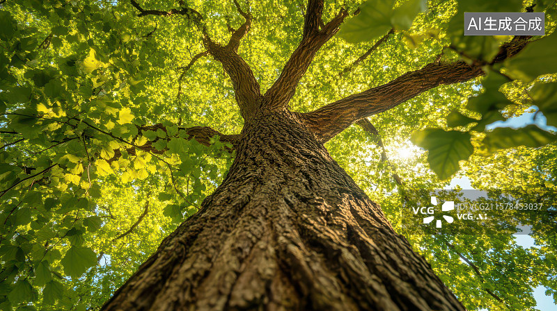 【AI数字艺术】仰视繁茂大树生态景观图图片素材