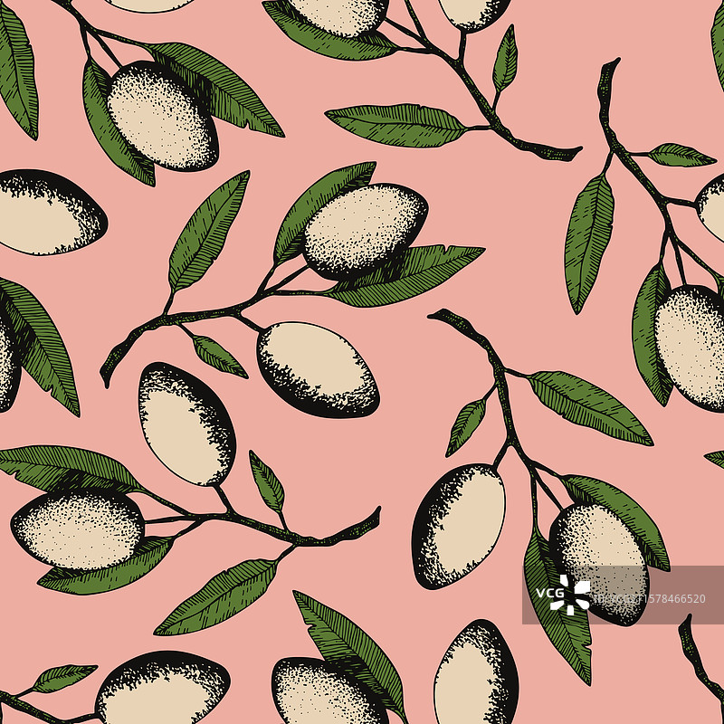 手绘橄榄枝无缝图案图片素材